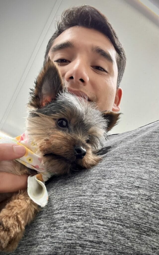 A pet lover in a gray shirt holds a small Yorkshire Terrier puppy wearing a patterned bandana.