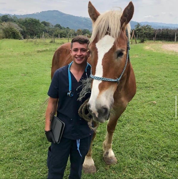 A pet lover in scrubs with a stethoscope stands beside a brown horse in a grassy field, with hills and trees in the background.