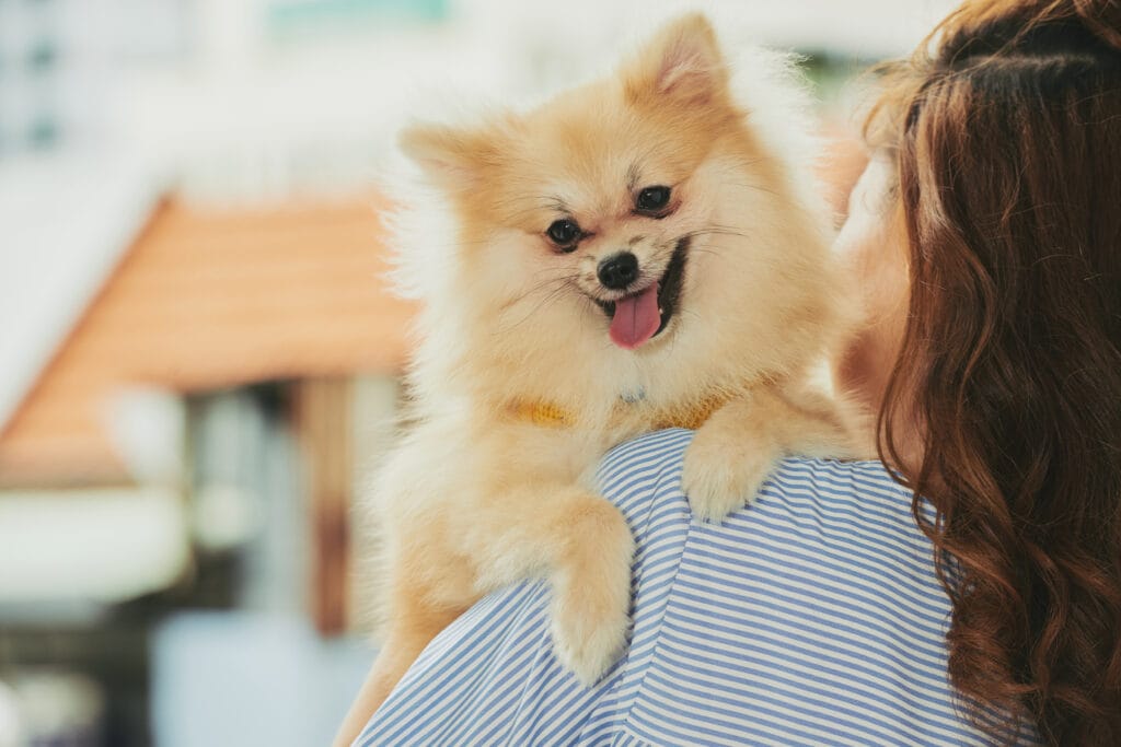 A small, fluffy dog with light fur is held on the shoulder of a pet lover with long brown hair, wearing a blue and white striped shirt. The happy pup sticks its tongue out—ready for some mobile pet grooming care.