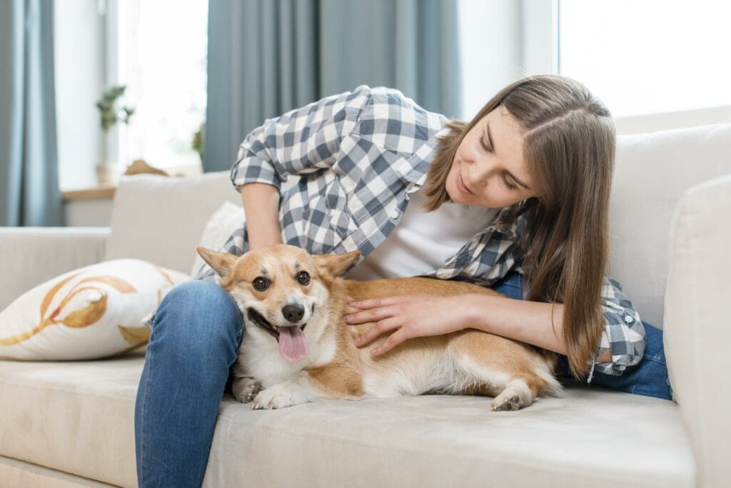 A woman sits on a sofa petting her happy, panting corgi dog—clearly a true pet lover enjoying quality time after a mobile pet grooming session.
