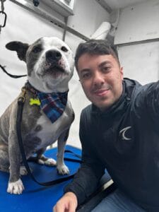 A pet lover takes a selfie with a black and white dog wearing a plaid bandana and leash, both indoors on a blue surface.