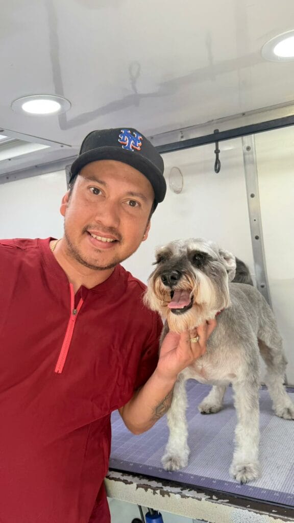 A dog groomer in a red shirt and black cap poses with a gray schnauzer on a grooming table inside a well-lit room, showcasing his mobile dog grooming skills.