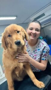 A pet lover in printed scrubs smiles while holding a golden retriever on a grooming table in a brightly lit room.