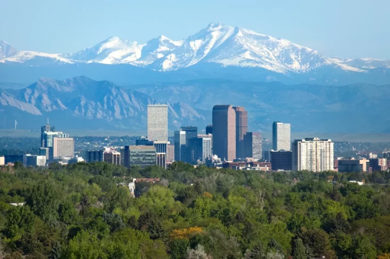 The Denver city skyline is shown with tall buildings in the foreground and snow-capped mountains in the background under a clear sky—perfect for any pet lover to enjoy a stroll or book convenient mobile dog grooming.