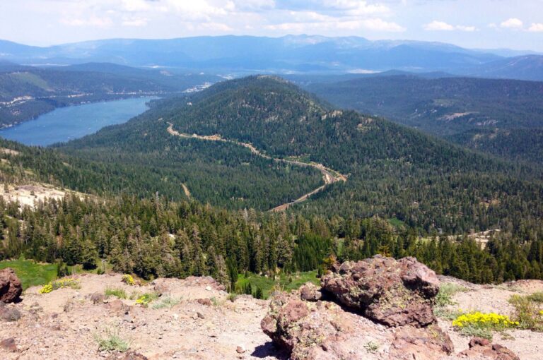 View from a rocky hilltop overlooking a winding road through dense green forest, where a mobile pet grooming van travels toward a lake and distant mountains under a partly cloudy sky.