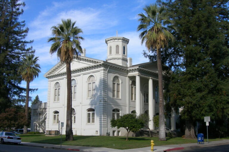 A white, two-story courthouse with tall columns and a central cupola is surrounded by palm trees and greenery under a blue sky—an inviting scene perfect for any pet lover enjoying a stroll.